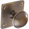 Second Nature Handles - Classic Brass Knob With Backplate 32mm